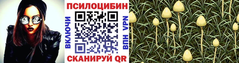 Псилоцибиновые грибы прущие грибы  Купить закладки  Нефтегорск 